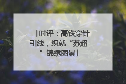 时评：高铁穿针引线，织就“苏超”锦绣图景