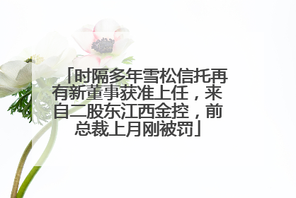 时隔多年雪松信托再有新董事获准上任，来自二股东江西金控，前总裁上月刚被罚