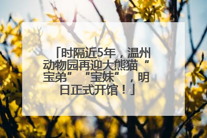 时隔近5年，温州动物园再迎大熊猫“宝弟”“宝妹”，明日正式开馆！