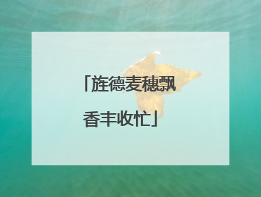 旌德麦穗飘香丰收忙