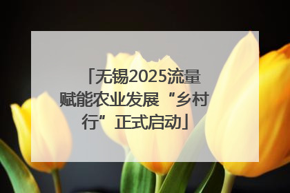 无锡2025流量赋能农业发展“乡村行”正式启动