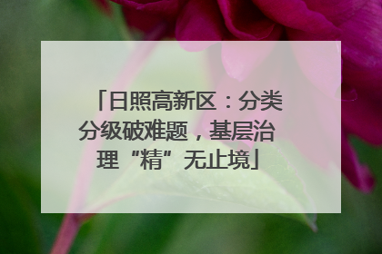 日照高新区：分类分级破难题，基层治理“精”无止境