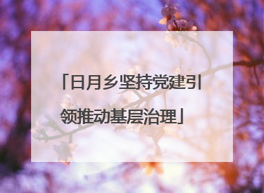 日月乡坚持党建引领推动基层治理
