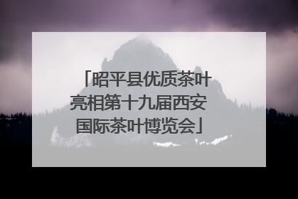 昭平县优质茶叶亮相第十九届西安国际茶叶博览会