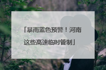 暴雨蓝色预警！河南这些高速临时管制