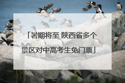 暑期将至 陕西省多个景区对中高考生免门票