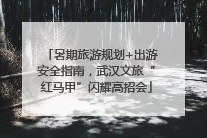 暑期旅游规划+出游安全指南，武汉文旅“红马甲”闪耀高招会