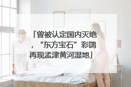 曾被认定国内灭绝，“东方宝石”彩鹮再现孟津黄河湿地