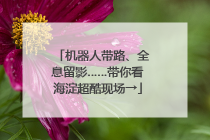 机器人带路、全息留影……带你看海淀超酷现场→