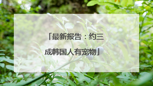 最新报告：约三成韩国人有宠物