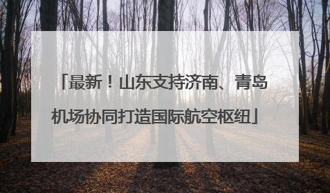 最新！山东支持济南、青岛机场协同打造国际航空枢纽