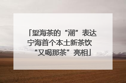 望海茶的“潮”表达 宁海首个本土新茶饮“又喝那茶”亮相