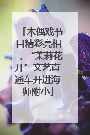 木偶戏节目精彩亮相，“茉莉花开”文艺直通车开进海师附小