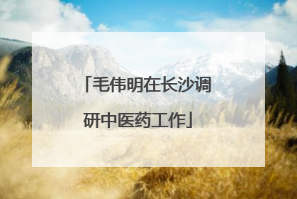 毛伟明在长沙调研中医药工作