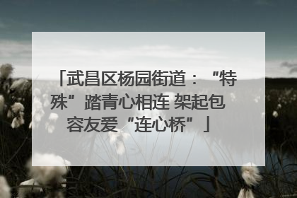 武昌区杨园街道：“特殊”踏青心相连 架起包容友爱“连心桥”