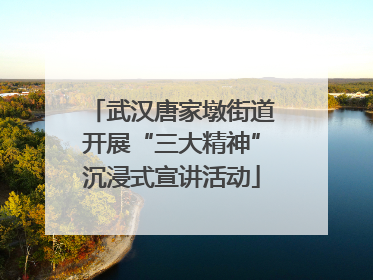 武汉唐家墩街道开展“三大精神”沉浸式宣讲活动