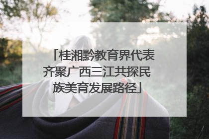 桂湘黔教育界代表齐聚广西三江共探民族美育发展路径