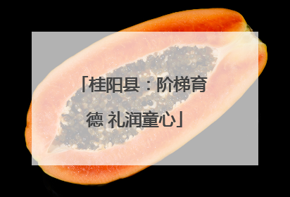 桂阳县：阶梯育德 礼润童心