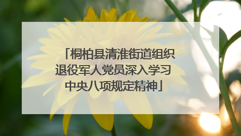 桐柏县清淮街道组织退役军人党员深入学习中央八项规定精神