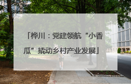 桦川：党建领航“小香瓜”撬动乡村产业发展