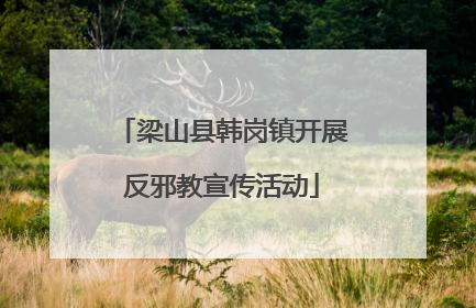 梁山县韩岗镇开展反邪教宣传活动