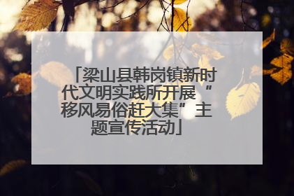 梁山县韩岗镇新时代文明实践所开展“移风易俗赶大集”主题宣传活动