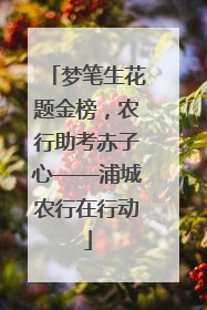 梦笔生花题金榜，农行助考赤子心——浦城农行在行动