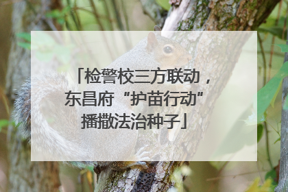 检警校三方联动，东昌府“护苗行动”播撒法治种子