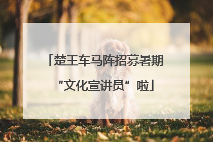 楚王车马阵招募暑期“文化宣讲员”啦
