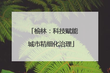 榆林：科技赋能城市精细化治理