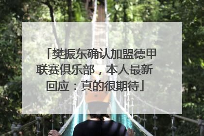 樊振东确认加盟德甲联赛俱乐部，本人最新回应：真的很期待