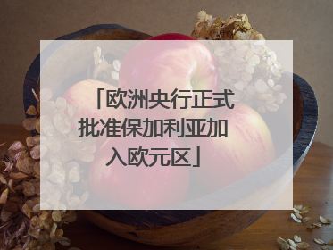 欧洲央行正式批准保加利亚加入欧元区