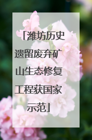 潍坊历史遗留废弃矿山生态修复工程获国家示范