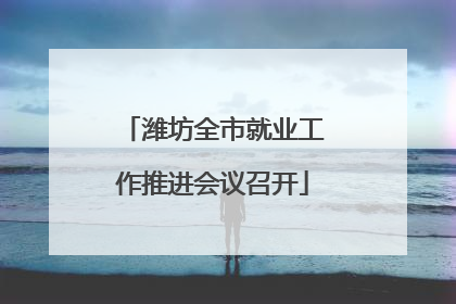 潍坊全市就业工作推进会议召开