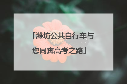 潍坊公共自行车与您同奔高考之路