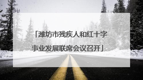 潍坊市残疾人和红十字事业发展联席会议召开