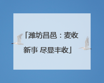 潍坊昌邑：麦收新事 尽显丰收
