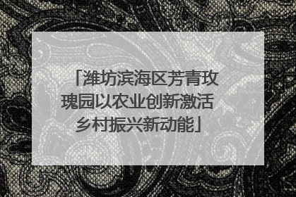 潍坊滨海区芳青玫瑰园以农业创新激活乡村振兴新动能