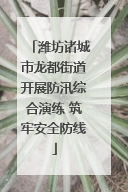 潍坊诸城市龙都街道开展防汛综合演练 筑牢安全防线