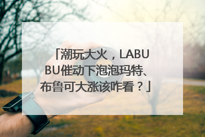 潮玩大火，LABUBU催动下泡泡玛特、布鲁可大涨该咋看？