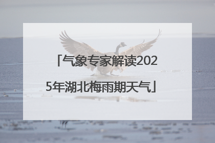 气象专家解读2025年湖北梅雨期天气