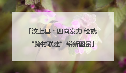 汶上县：四向发力 绘就“跨村联建”崭新图景