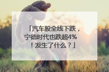 汽车股全线下跌，宁德时代也跌超4%！发生了什么？