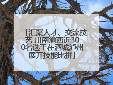 汇聚人才、交流技艺 川南渝西近300名选手在酒城泸州展开技能比拼