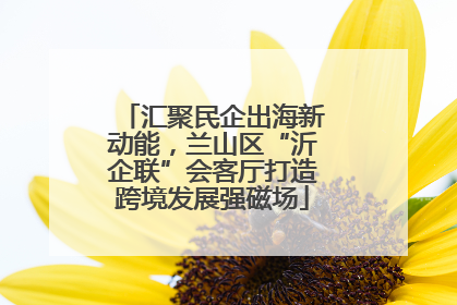 汇聚民企出海新动能，兰山区“沂企联”会客厅打造跨境发展强磁场