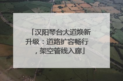 汉阳琴台大道焕新升级：道路扩容畅行，架空管线入廊