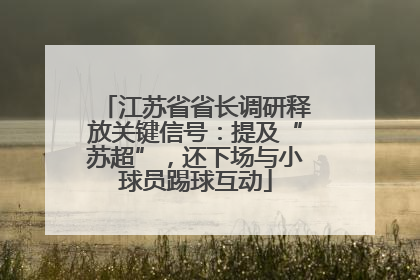 江苏省省长调研释放关键信号：提及“苏超”，还下场与小球员踢球互动