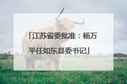 江苏省委批准：杨万平任如东县委书记