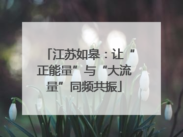 江苏如皋：让“正能量”与“大流量”同频共振
