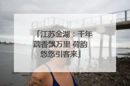 江苏金湖：千年藕香飘万里 荷韵悠悠引客来